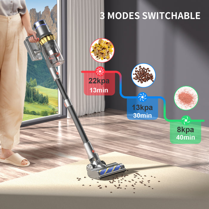 Belife Cordless Stick Vacuum Cleaner BVC11B 250W Brushless Motor, Household Vacuum Cleaner for Carpet and Floor Pet Hair